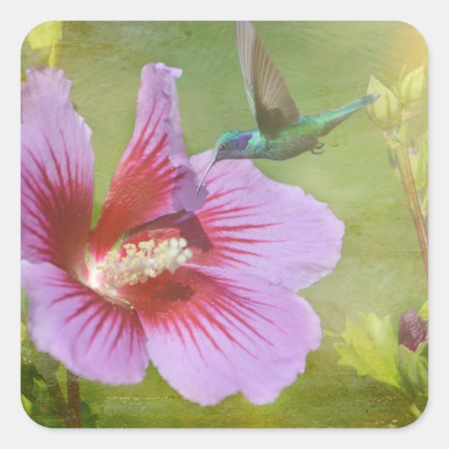 Hummingbird Gathering Nectar Stickers (Front)