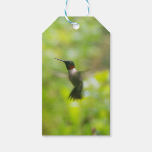 Hummingbird gift tag