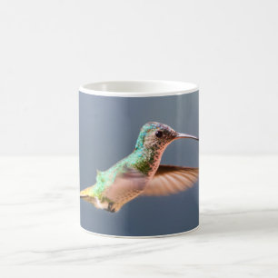 Hummingbird Golden Tailed Sapphire Female Flying Coffee Mug