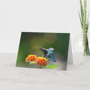 Hummingbird Greeting Card