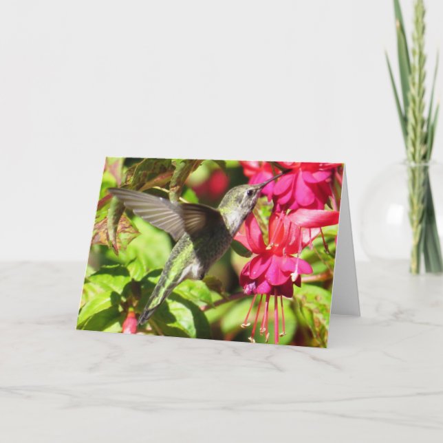 Hummingbird Greeting Card (Front)