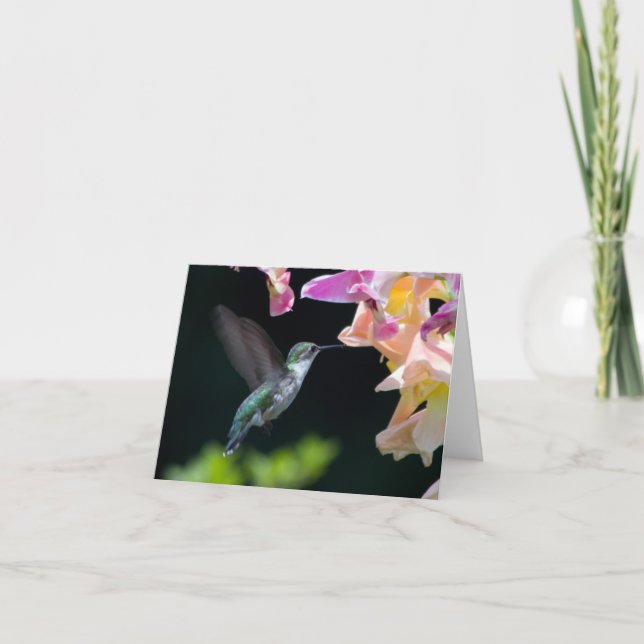 hummingbird greeting card (Front)