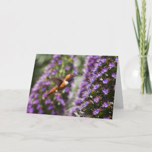 Hummingbird Greeting Card