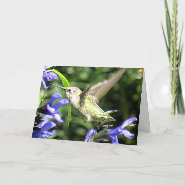 Hummingbird Greeting Card (Front)