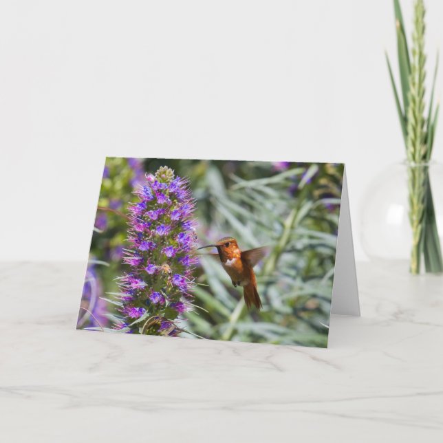 Hummingbird Greeting Card (Front)