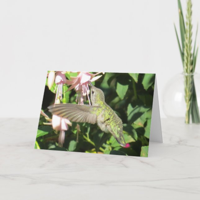 Hummingbird Greeting Card (Front)
