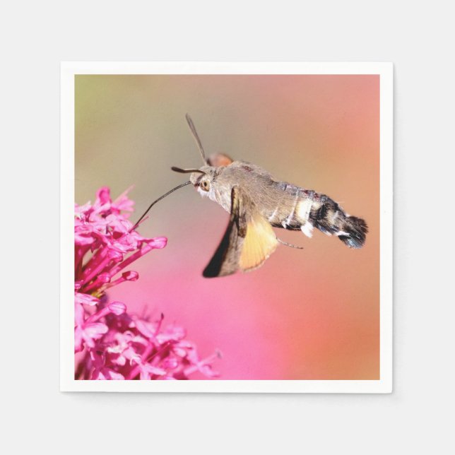 Hummingbird Hawk-moth butterfly in flight Napkin (Front)