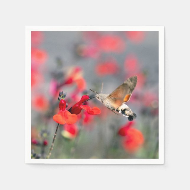 Hummingbird Hawk-Moth  Napkin (Front)