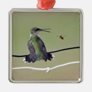 Hummingbird & Honey Bee Metal Tree Decoration