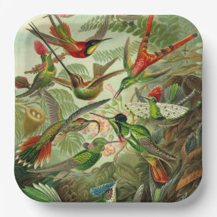 Hummingbird Illustration by Ernst Haeckel Paper Plate