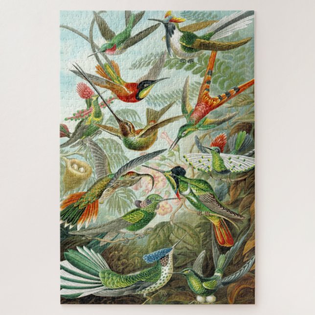 Hummingbird illustrations, 1899, Ernst Haeckel, Jigsaw Puzzle (Vertical)