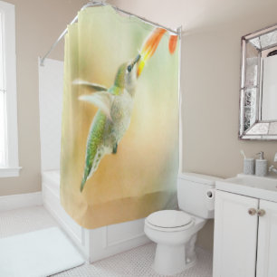 Hummingbird in Early Morning light Shower Curtain