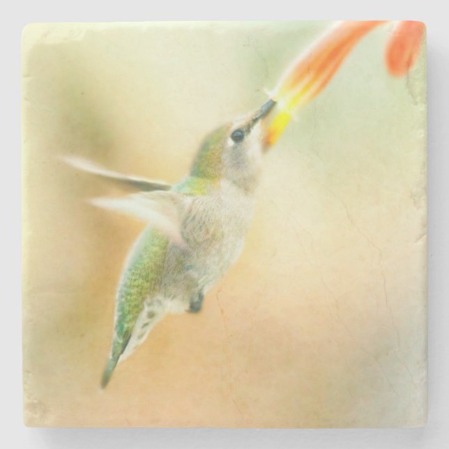 Hummingbird in Early Morning light Stone Coaster (Front)