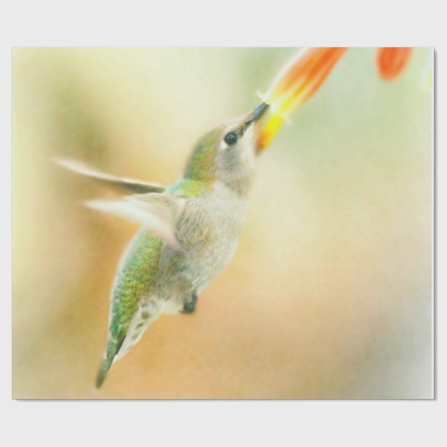 Hummingbird in Early Morning light Wrapping Paper (Flat)
