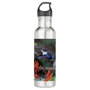 Hummingbird in Flight and Red Flowers 710 Ml Water Bottle