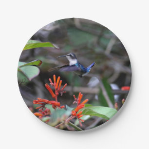 Hummingbird in Flight and Red Flowers Paper Plate