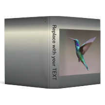 Hummingbird in Flight