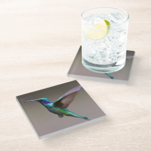 Hummingbird in Flight Glass Coaster