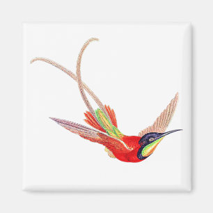 Hummingbird in Flight Magnet