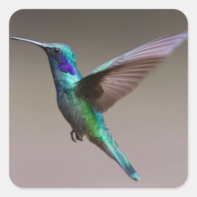 Hummingbird in Flight Square Sticker (Front)