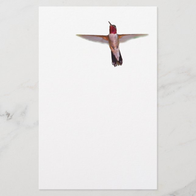 hummingbird in flight stationery (Front)