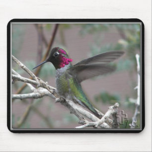 Hummingbird In My Backyard. Mouse Pad