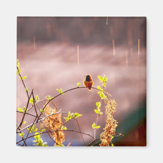 Hummingbird in Rain Shower Magnet