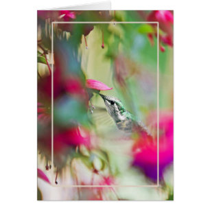 Hummingbird in Soft Fuchsia Vertical.