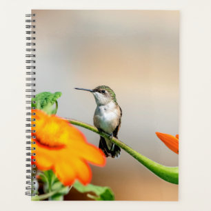 Hummingbird in the Adirondacks 2024 Planner