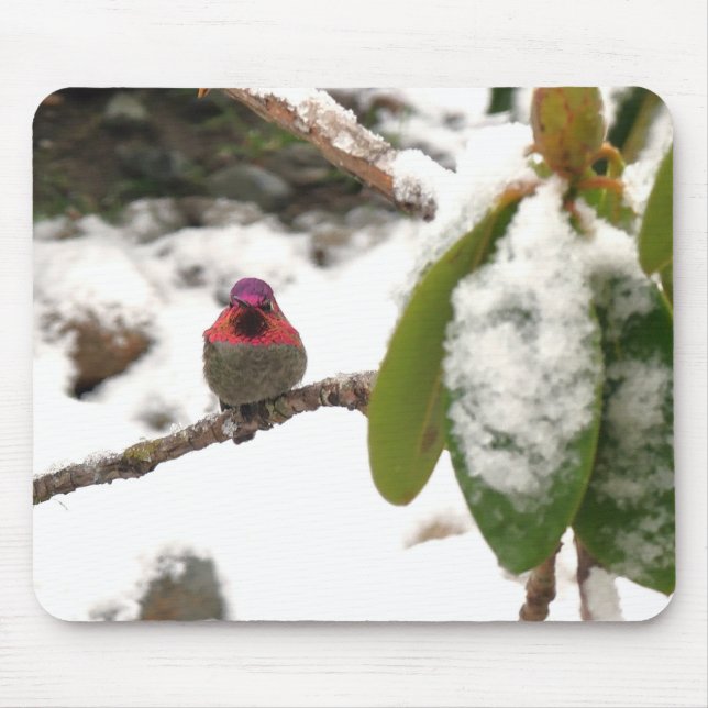 Hummingbird in Winter Mouse Pad (Front)