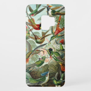 Hummingbird iPod Touch Barely There Case