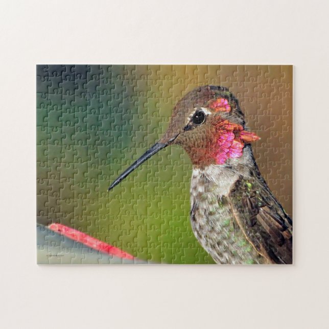 Hummingbird Jigsaw Puzzle (Horizontal)