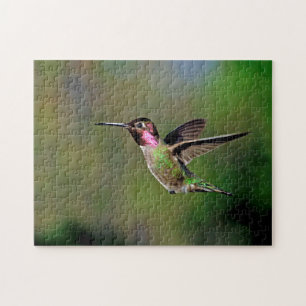 Hummingbird Jigsaw Puzzle