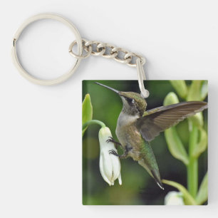 Hummingbird Key Ring