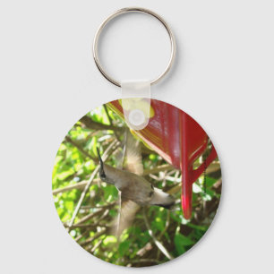 Hummingbird Keychain