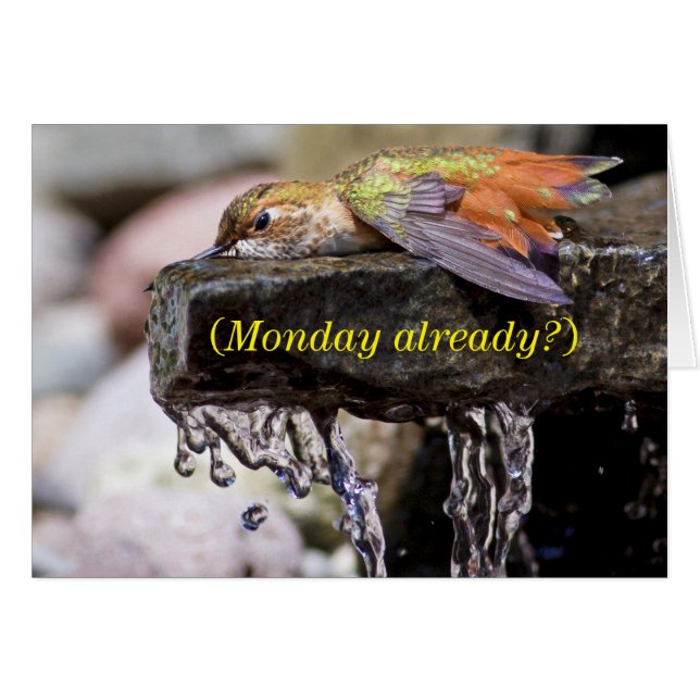Hummingbird  Laying in Water (Front Horizontal)