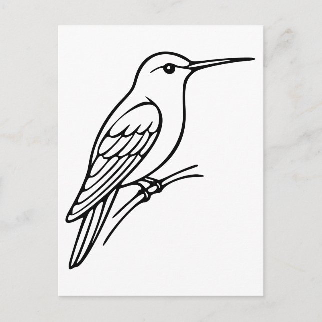 Hummingbird Line Art – Bird Illustration Postcard (Front)