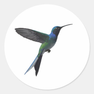 Hummingbird Lover Classic Round Sticker