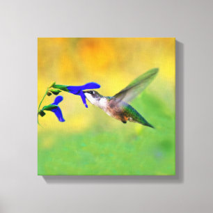 Hummingbird Lunch Canvas Print