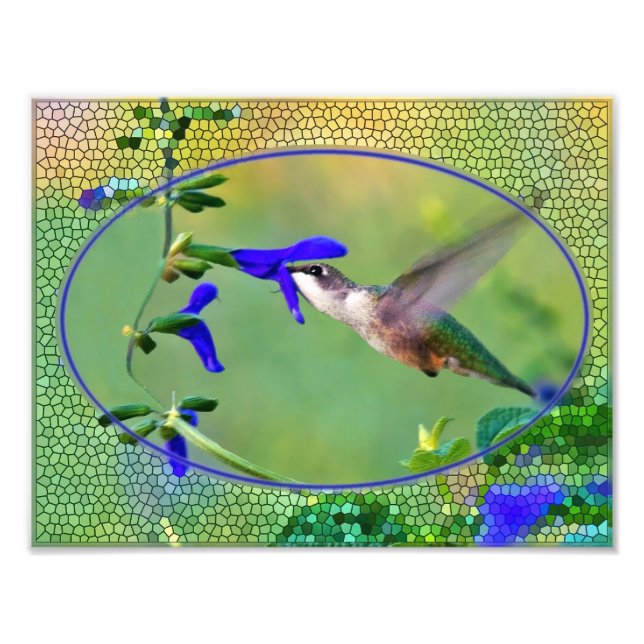 Hummingbird Lunch Illustration Photo Print (Front)