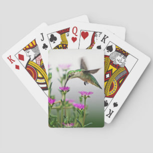 Hummingbird Lunch  Playing Cards