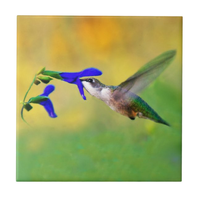 Hummingbird Lunch Tile (Front)