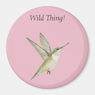 Hummingbird Magnet