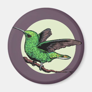 Hummingbird Magnet