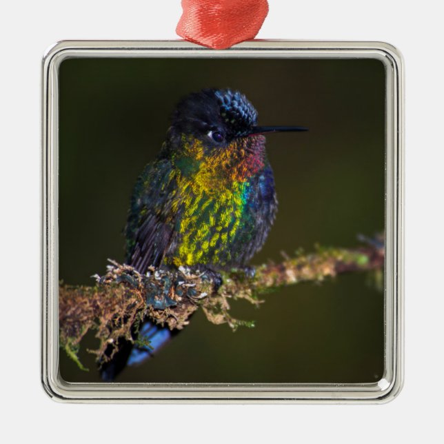 Hummingbird Metal Tree Decoration (Front)