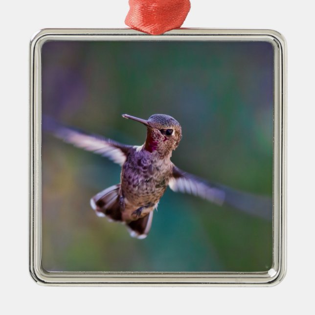 Hummingbird Metal Tree Decoration (Front)