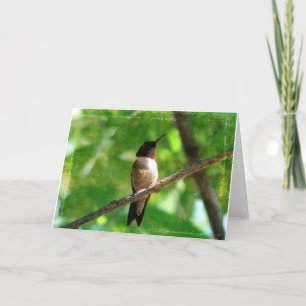 Hummingbird Morning Card