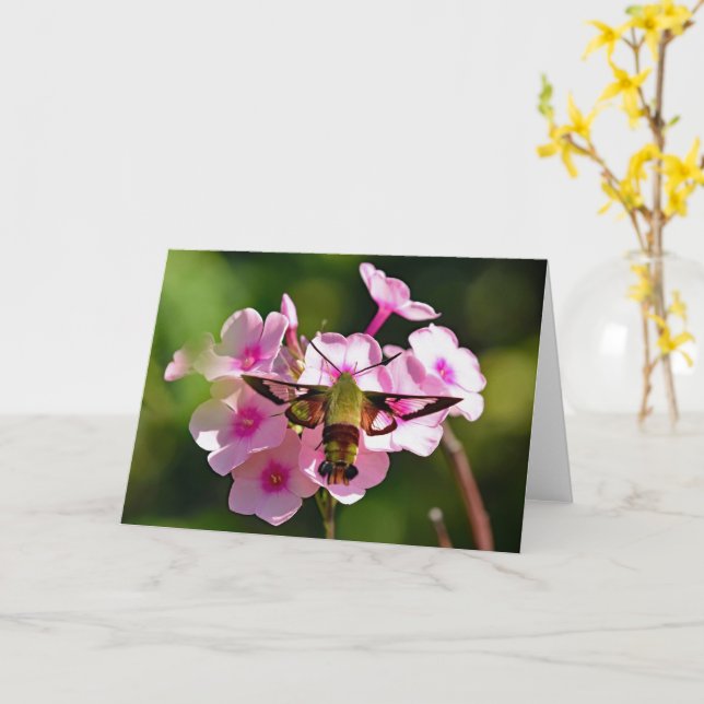 Hummingbird Moth Blank Greeting Card (Yellow Flower)