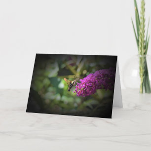 Hummingbird Moth, card
