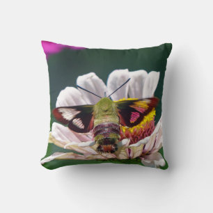 Hummingbird Moth Cushion